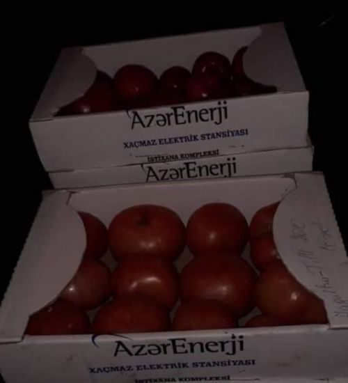 "Azərenerji" bayramda işçilərinə 50 manat əvəzinə 12 ədəd pomidor verdi -