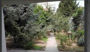 Deputat mülklərini satışa çıxardı    FOTOFAKT — foto 3