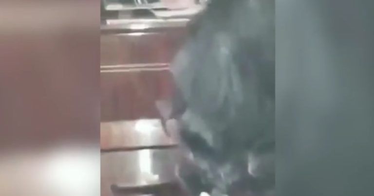 Onlayn dərsdə “Əə, dayan daa, dayan...” deyən müəllim danışdı: "Görüntünü hansısa əliqurumuş paylaşıb..."    VİDEO