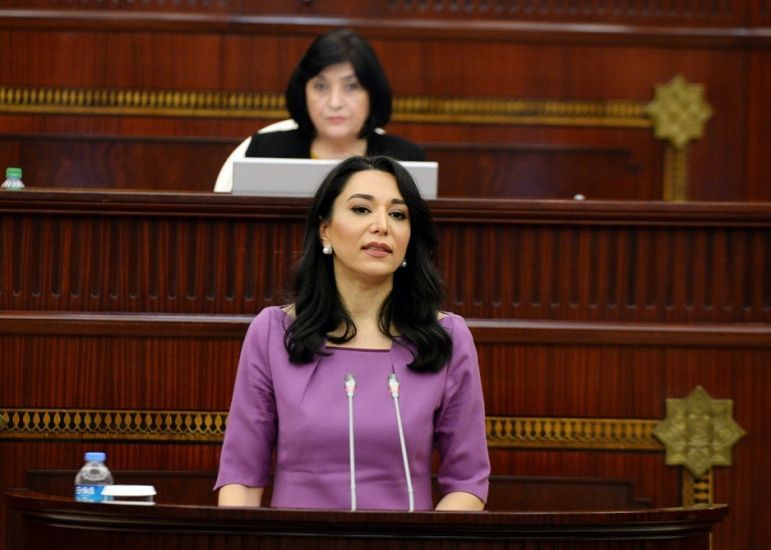 Milli Məclis Ombudsmanın illik məruzəsini qəbul etdi