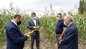 İnam Kərimov Bərdə, Tərtərdə əkin sahələri və meyvə bağlarına baxış keçirdi -       FOTO — foto 1
