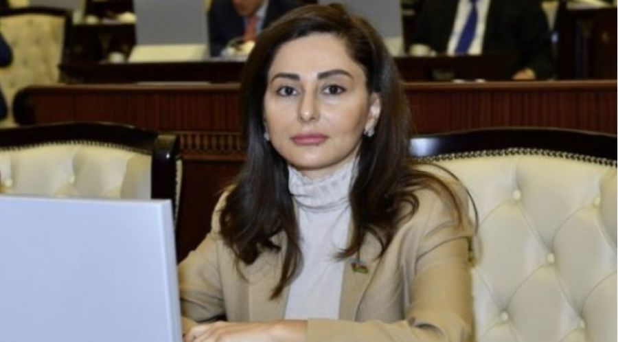 Kürdəmirin deputatı danışdı