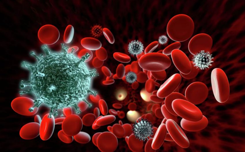 Pandemiya zamanı virusa qarşı ən güclü immunitet açıqlandı