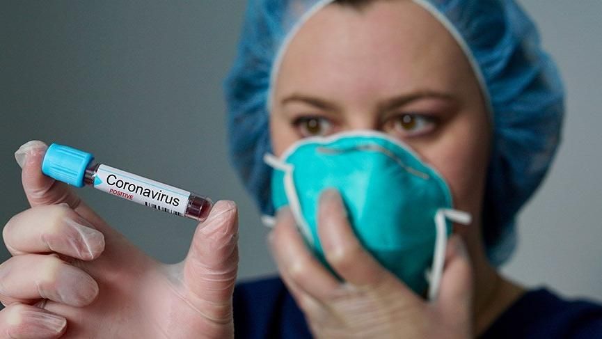 Bu heyvan və meyvədə də koronavirus tapıldı