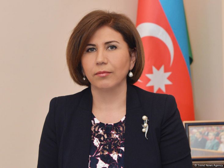 Bahar Muradova: "Xalqdan mandat alaraq yenidən formalaşdıq"