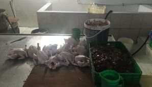 Maştağada toyuqlar belə kəsilir -     Dəhşətli mənzərə - FOTO — foto 2