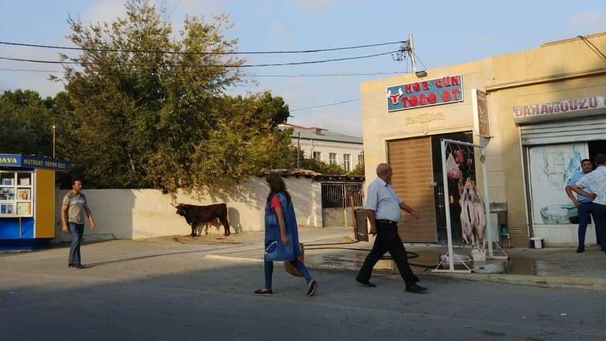 Lökbatanda məktəbin qarşısında qəssabxana –   FOTOLAR