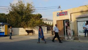 Lökbatanda məktəbin qarşısında qəssabxana –   FOTOLAR — foto 1