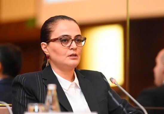 PA: Seçkilər daha çevik deputat korpusunun formalaşmasına hədəflənib