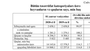 Azərbaycanda quşların sayı açıqlandı — foto 1