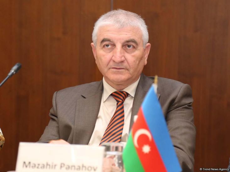 Məzahir Pənahov deputatlığa namizədlərə xəbərdarlıq etdi