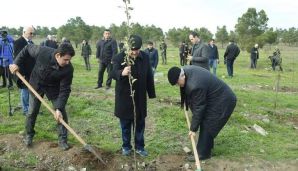Naqif Həmzəyev Fuad Əliyevi təbrik etdi:      "Etibarlı dost, yüksək əxlaqi keyfiyyətlərə malik ziyalıdır" - FOTOLAR — foto 2