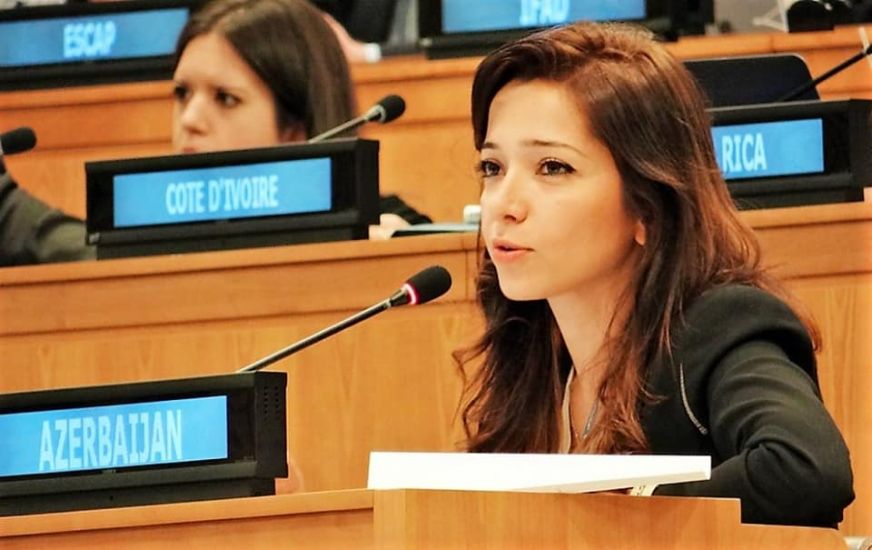 Xalça satdığı iddia olunan səfirin Nyu-Yorkda da mənzilləri üzə çıxdı –       Həyat yoldaşı danışdı