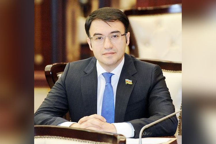 Deputat: “Azərbaycan ordusunun nüfuzdan salınmasına hesablanmış qətnamə təşəbbüsü rəsmən bitdi”
