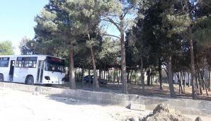 Jurnalistdən Əziz Əzizova təklif:   “Burada restoran tikməklə 3 qat qazanacaqsınız” — foto 2