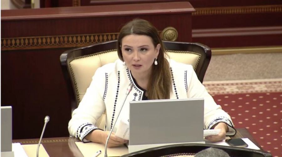 Qənirə Paşayeva: “Məlumat yayırlar ki, Tovuzda sakinlər evlərini tərk edirlər, bunlar yalandır” -     VİDEO