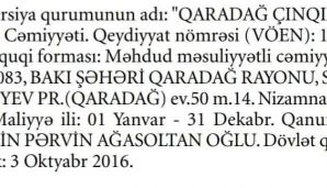 İcra başçısı Süleyman Mikayılovun milyonluq biznesi -     SƏNƏD — foto 4