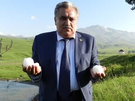 Əhəd Abıyev Bakının mərkəzindəki villasının damında ağac əkdi -            FOTO
