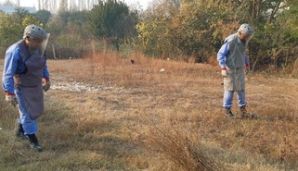 Cəbhəyanı ərazidə idarə olunan raket aşkarlandı -       FOTO — foto 2
