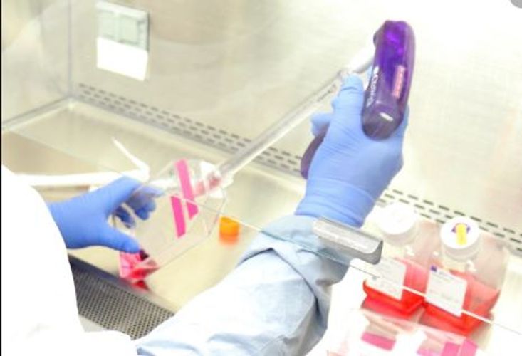 Koronavirus peyvəndi ilə bağlı yeni xəbər