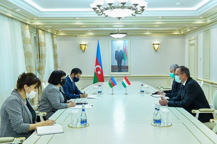 Sahibə Qafarova Macarıstan səfiri ilə görüşdü