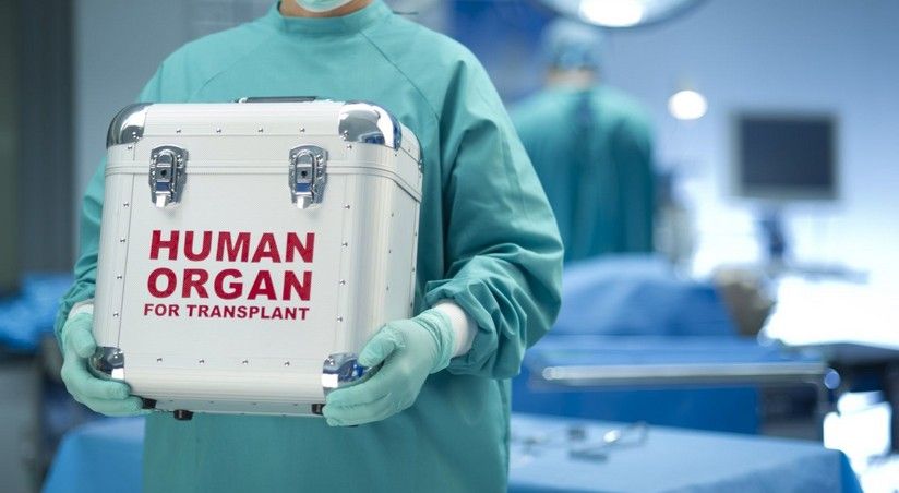 Transplantasiya obyekti olan orqan və toxumaların     SİYAHISI
