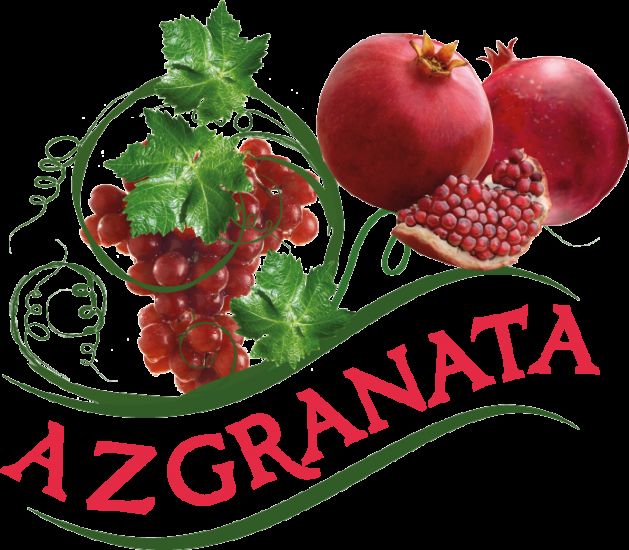 "Azgranata" karantin qaydalarını pozdu -     Cərimələndi