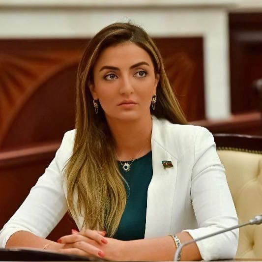 Könül Nurullayevanın rəqibləri kimlərdir? -     AYNA işçisi, Yeni Klinikanın vəzifəlisi…