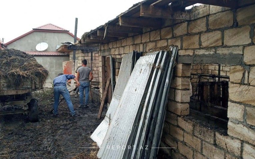 Qubada nə baş verir?