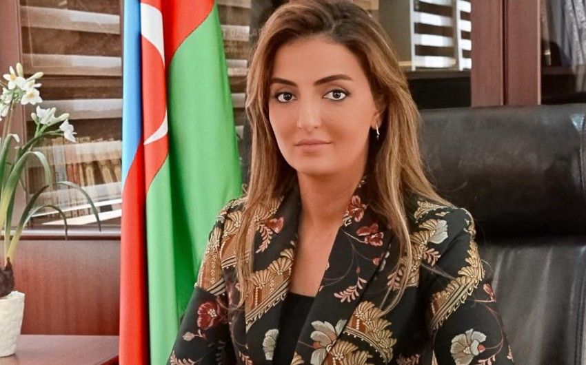 "Ermənistan pandemiya ilə mübarizədə pozitiv dinamika əldə etməyə mane olur" -     Könül Nurullayeva