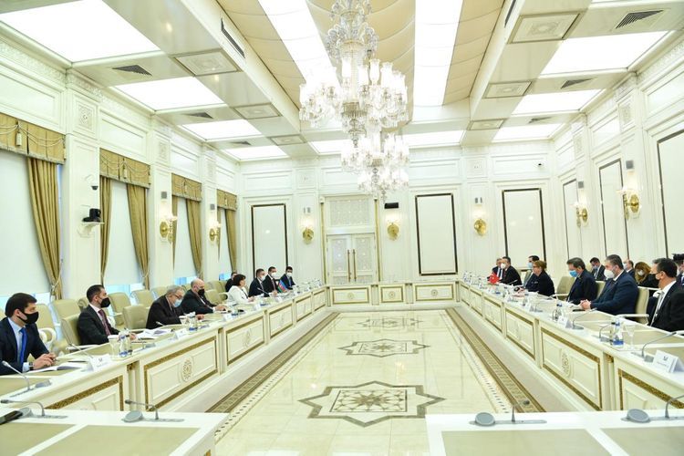 Sahibə Qafarova Türkiyənin ticarət naziri ilə görüşdü