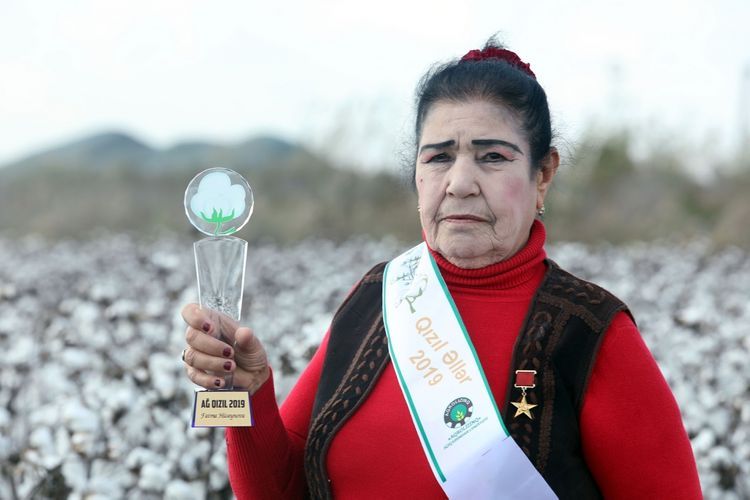Sosialist Əməyi Qəhrəmanı Fatma Hüseynovanın evinə oğru girdi