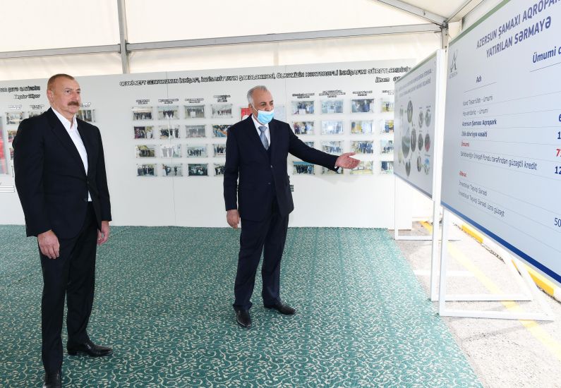 İlham Əliyev “Azərsun Şamaxı Aqropark”ın açılışında iştirak etdi -     YENİLƏNDİ