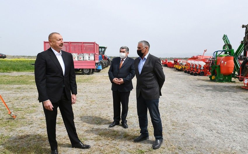 Prezident Hacıqabulda fermer Elşən Xəlilovun pambıq tarlasında səpin prosesini izlədi -     YENİLƏNDİ