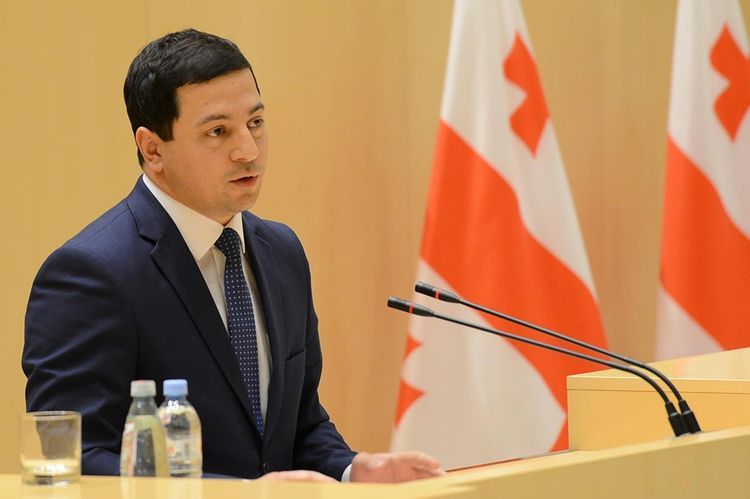 Gürcüstan parlamentinin sədri istefa verdi