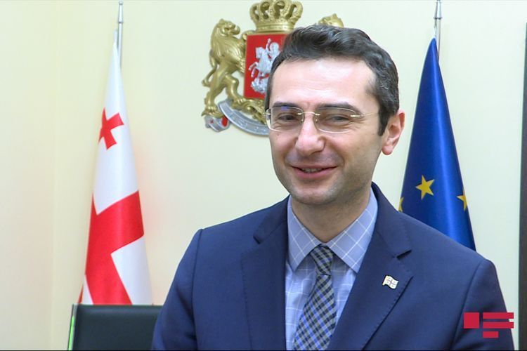 Gürcüstan parlamentində yeni sədr seçildi