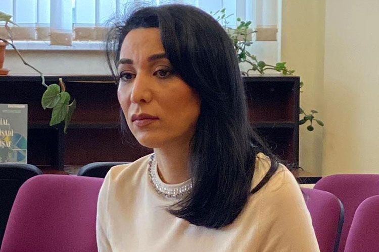 Ombudsman Kəlbəcərdə mina partlayışı ilə bağlı beynəlxalq ictimaiyyətə müraciət etdi