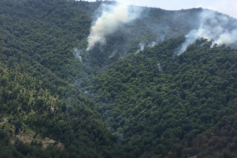 FHN və ETSN Yardımlıda meşə zolağında yanğınla bağlı birgə məlumat yaydı
