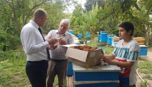 Deputat: “15 dəqiqə ərzində 1 kiloqrama yaxın bal yedim” — foto 1