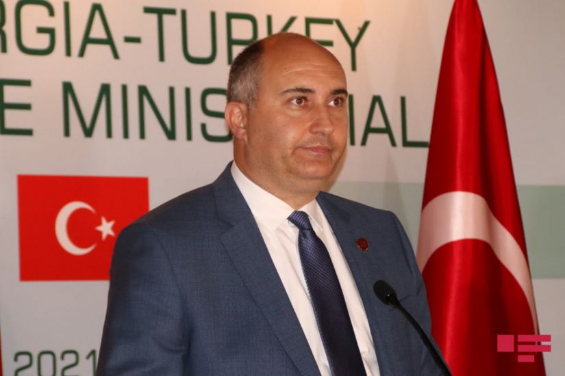 Gürcüstanın müdafiə naziri Azərbaycana gəldi