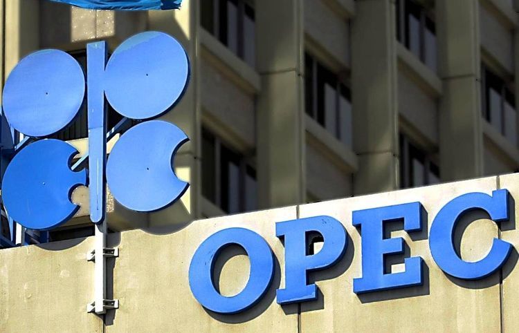 OPEC Azərbaycanda gələn il neft hasilatı üzrə proqnozunu artırdı