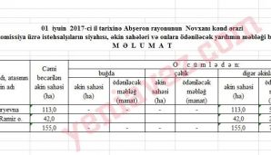 Ramiz Mehdiyevin həyat yoldaşını məhkəməyə verdilər:       Şərab biznesi ortaya çıxdı - SƏNƏD — foto 2