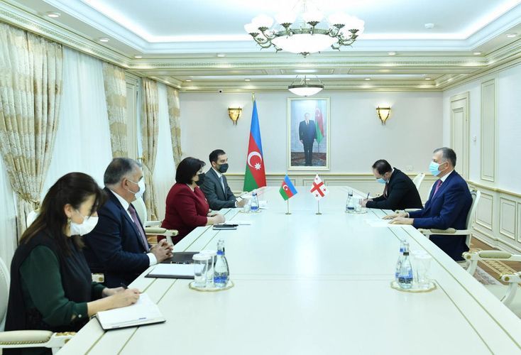 Sahibə Qafarova Gürcüstan səfiri ilə görüşdü