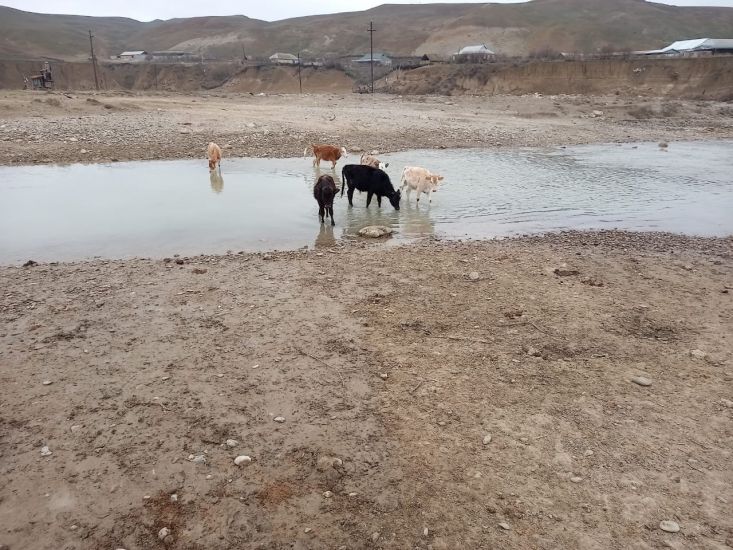 “Virusa görə ayrılan xəstəxananın çirkab suları da çaya axıdılır”