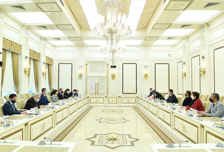 Sahibə Qafarova Fransa Milli Assambleyasının nümayəndə heyətinin üzvləri ilə görüşdü