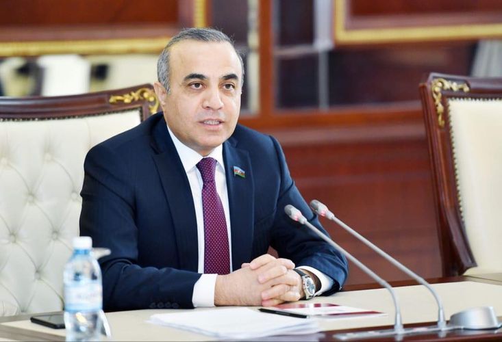 "Milli Məclisin Sədrinə və deputatlarına şər ataraq, çirkin kampaniyaya başladılar"