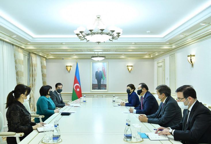 Sahibə Qafarova Türk Şurasının Baş katibi ilə ilə görüşdü