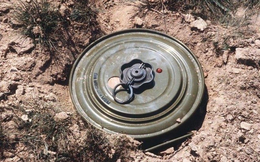 "Füzuli və Zəngilan kimi ən çox minalanmış ərazilərin xəritəsini əldə etmək böyük uğurdur" -           RƏY