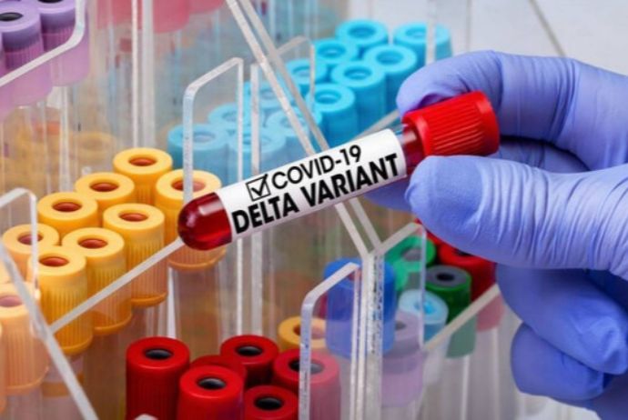 Azərbaycanda koronavirusun "Delta" ştammı aşkarlandı