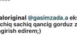Azərbaycanlı bloqer “qadınları zorlayın” çağırışı etdi -           VİDEO — foto 1